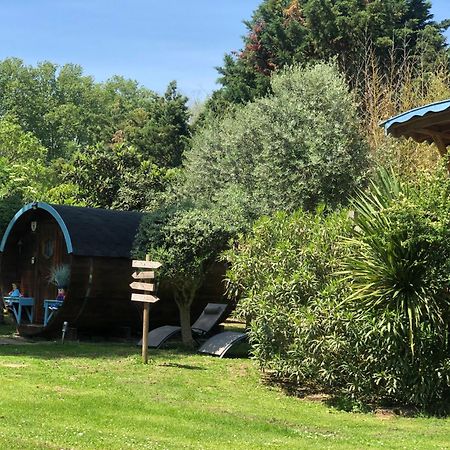 La Bastide De Negra Bed & Breakfast Montesquieu-Lauragais Luaran gambar