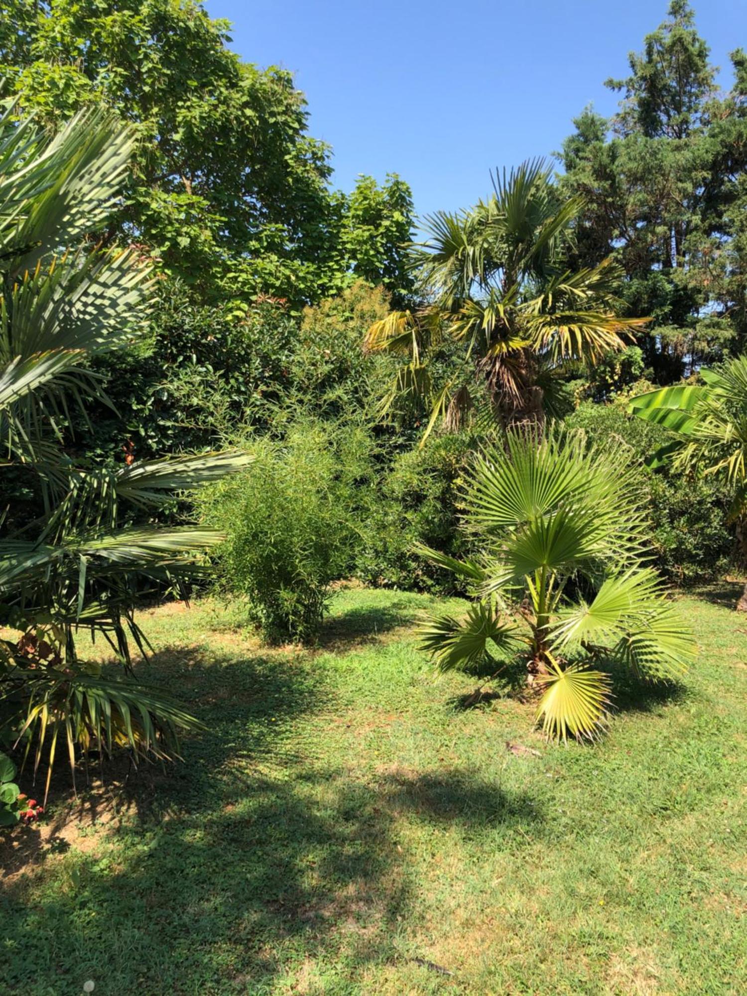 La Bastide De Negra Bed & Breakfast Montesquieu-Lauragais Luaran gambar