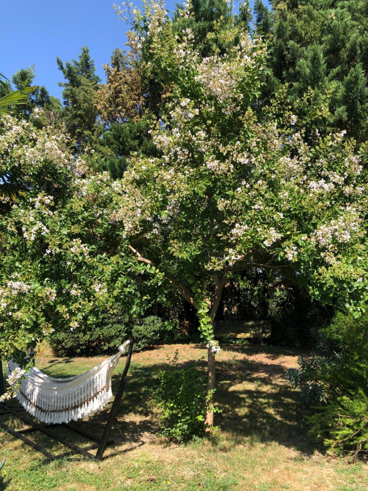 La Bastide De Negra Bed & Breakfast Montesquieu-Lauragais Luaran gambar
