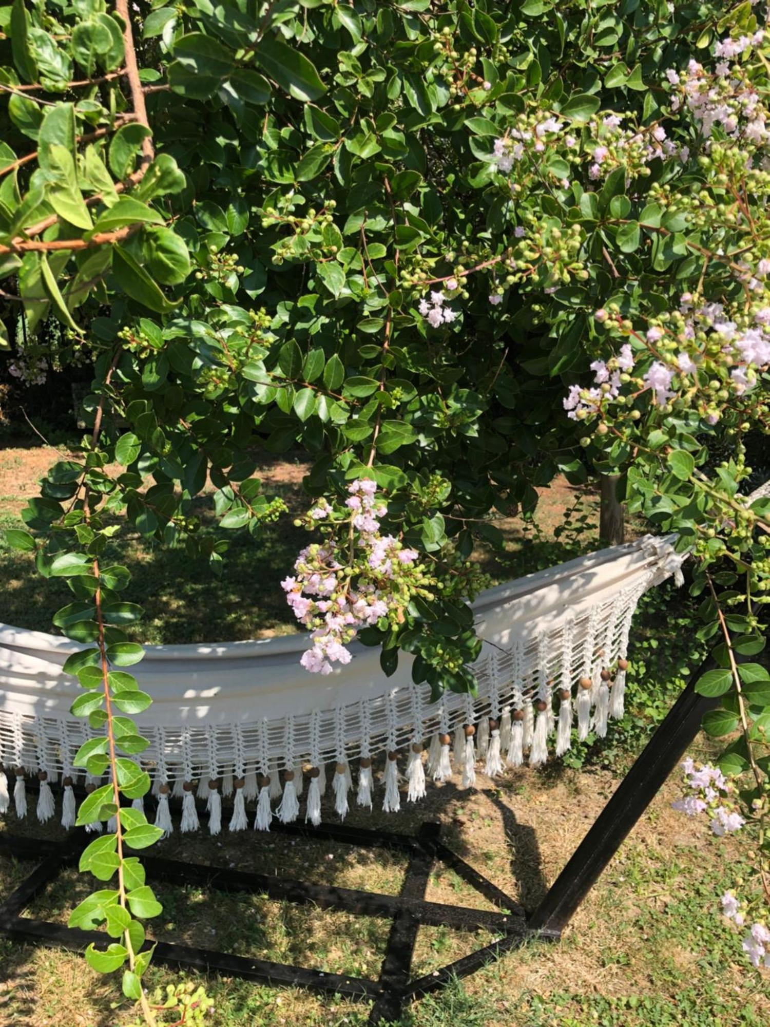 La Bastide De Negra Bed & Breakfast Montesquieu-Lauragais Luaran gambar