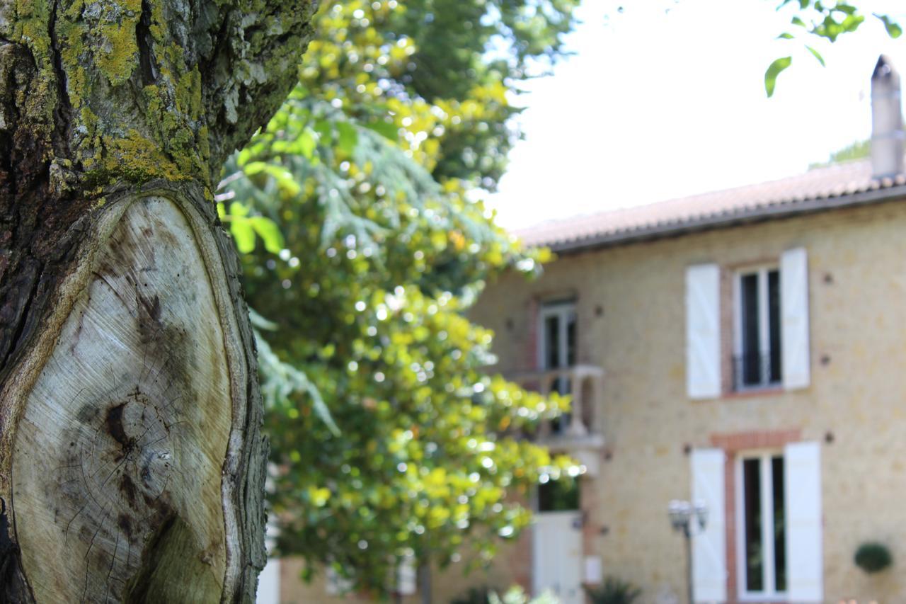 La Bastide De Negra Bed & Breakfast Montesquieu-Lauragais Luaran gambar