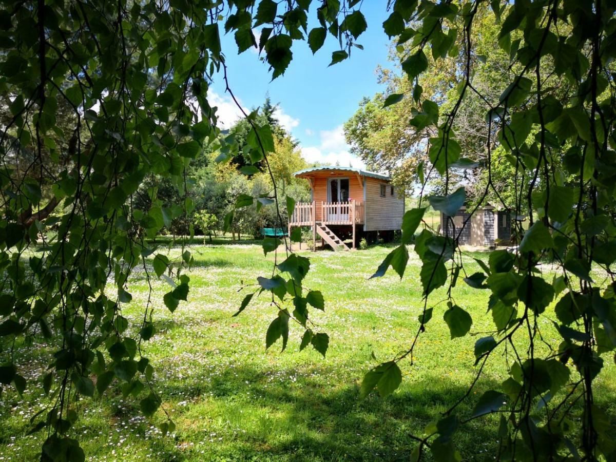 La Bastide De Negra Bed & Breakfast Montesquieu-Lauragais Luaran gambar